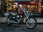 2012 Harley-Davidson Harley Davidson FXDWG Dyna Wide Glide